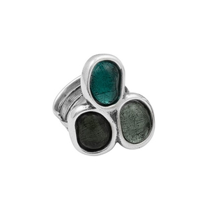 Кольцо CICLON 232506-12-9